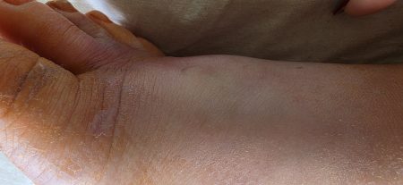 20260811_110524.jpg