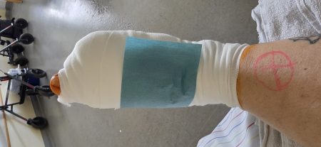 20260824_121119.jpg