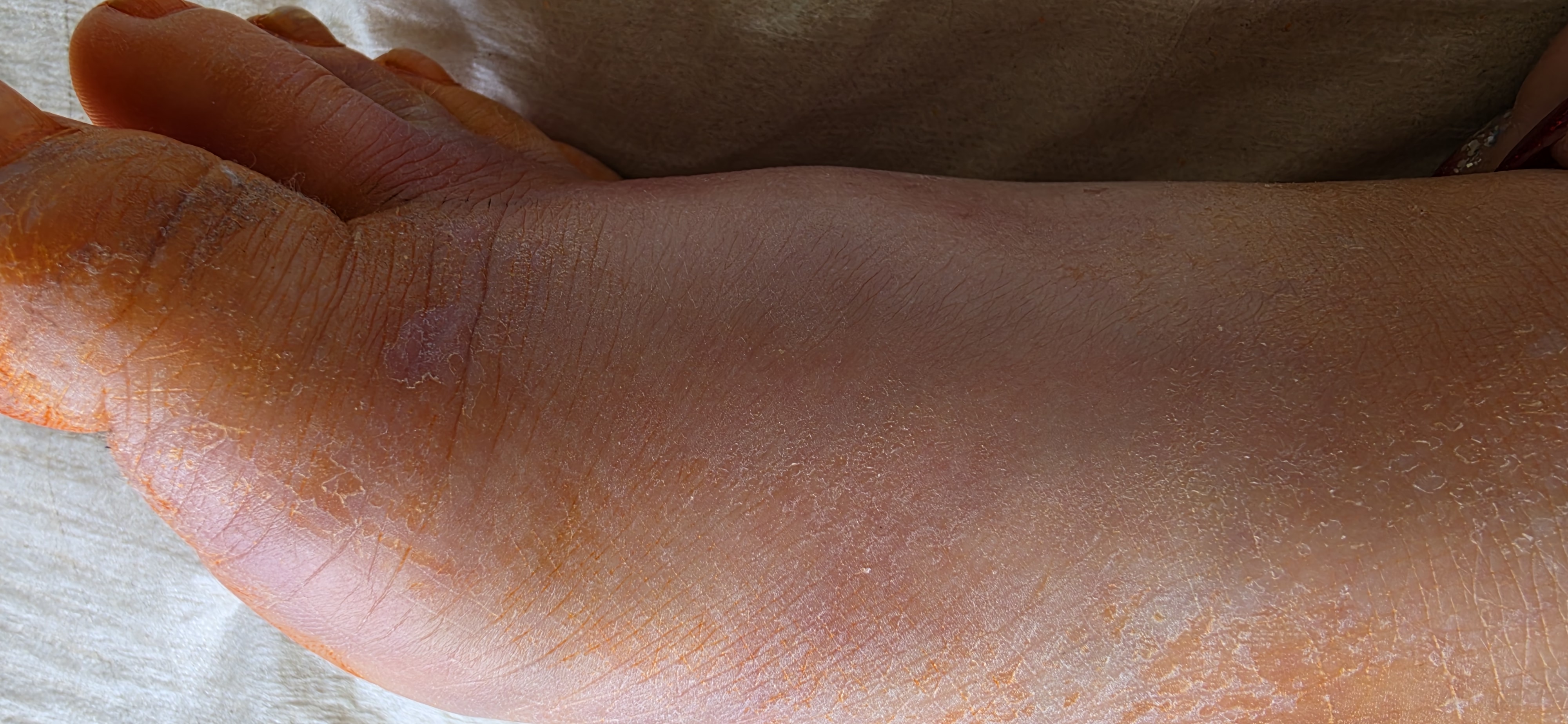 20260811_110517.jpg