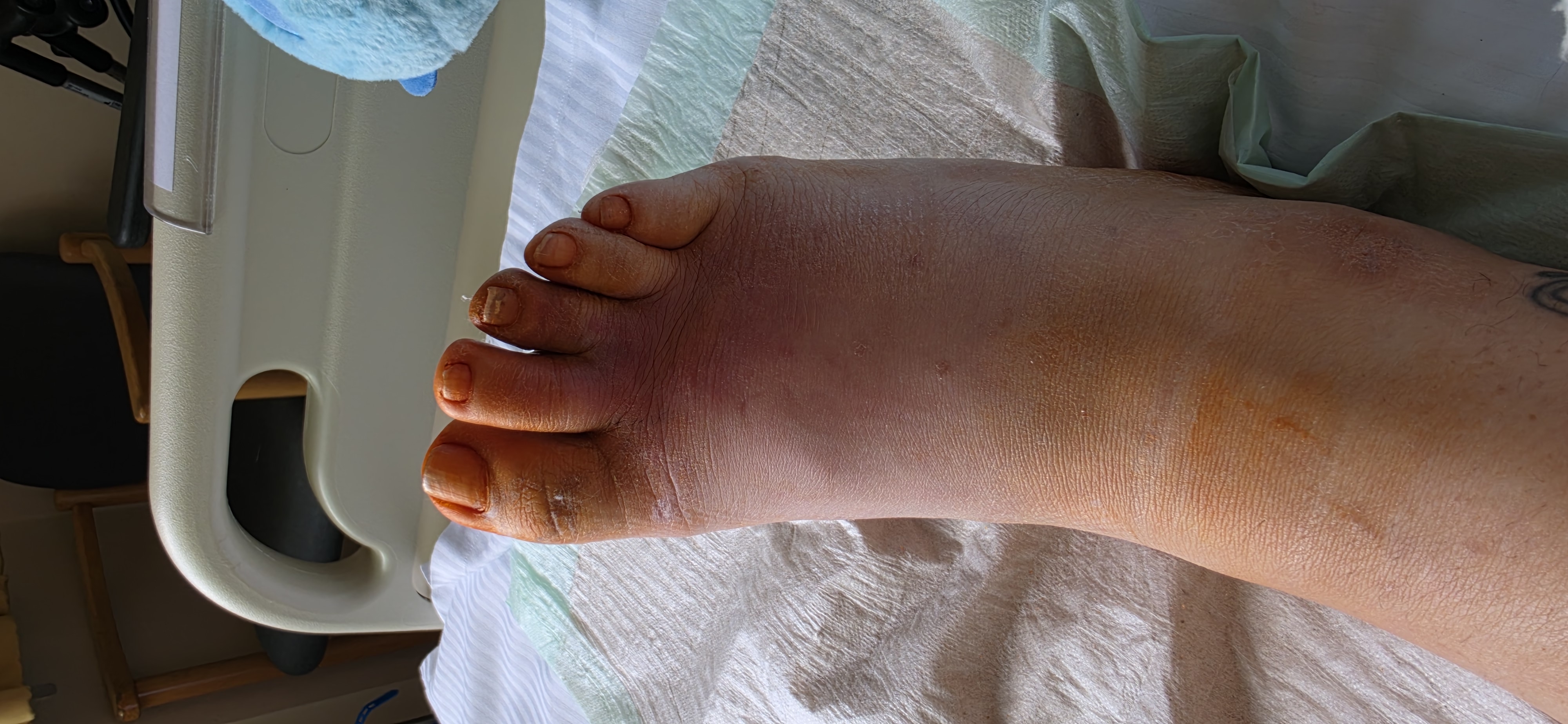 20260811_110700.jpg